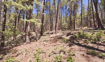 249 Timber Dr, Bayfield, CO 81122