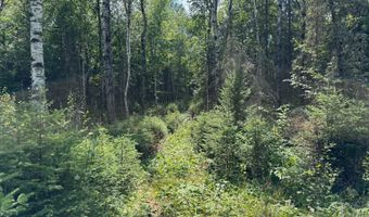 8002 HOLLY Ln, Alvin, WI 54542