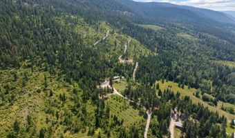 31714 Twinflower Ln, Bigfork, MT 59911