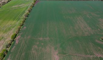 0000 SW Tawakoni Rd, Andover, KS 67002