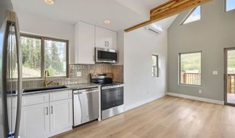 145 Spruce St, Alma, CO 80420