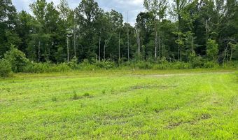 County Road 212, Coffeeville, MS 38922