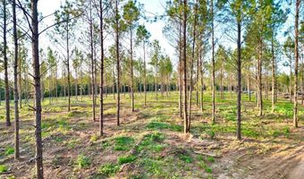 4 AL SR 223, Banks, AL 36005