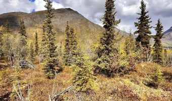 B005 S Packsaddle Road, Chickaloon, AK 99674