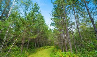 Double Bend Road, Argonne, WI 54511