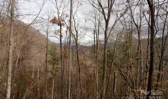Green Ridge Falls Road, Barnardsville, NC 28709