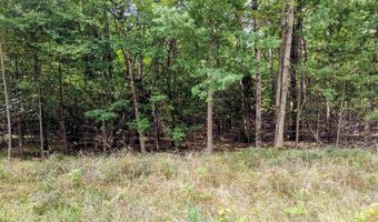 Buffalo Trail, Alger, MI 48610