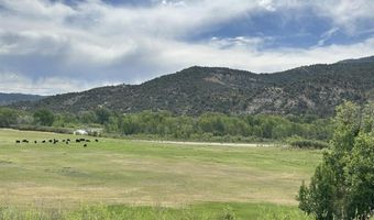 USFS RD 613, Arboles, CO 81147