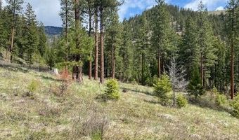Nhn Mountain Vista Lane, Alberton, MT 59820