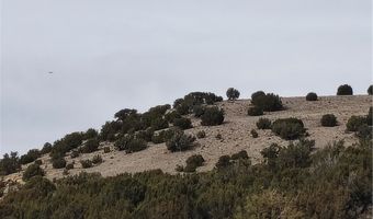 15 County Rd N8641, Concho, AZ 85924