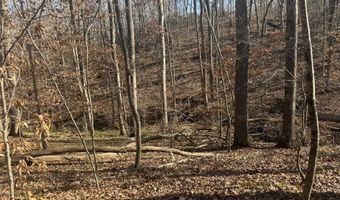 0 Rambler Ln, Blacksburg, SC 29702