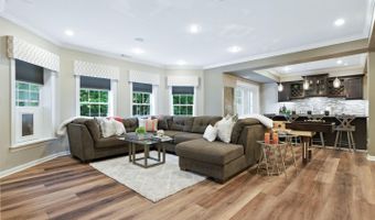 22530 FOREST RUN Dr, Ashburn, VA 20148