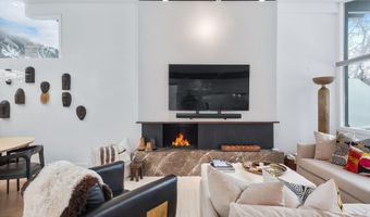 1001 E Cooper Ave 1, Aspen, CO 81611