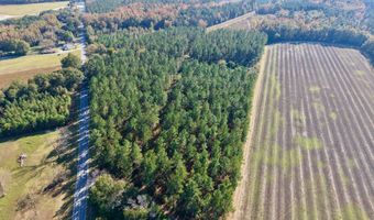 TBD Binnicker Bridge Road, Bamberg, SC 29003