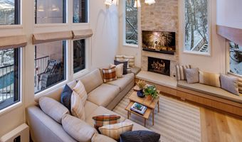800 S Mill St 201C, Aspen, CO 81611