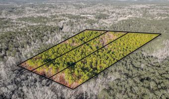 5485 Tubman Rd, Appling, GA 30802