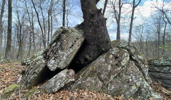 320 Acres CR 921, Alpena, AR 72611