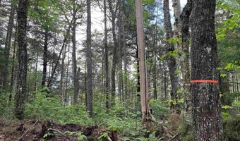 248 Cowan Rd, Averill, VT 05901