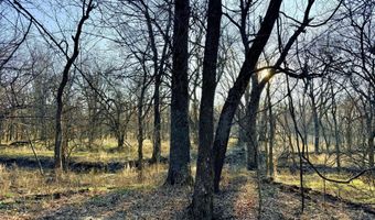 0002 CR-290, Asbury, MO 64832