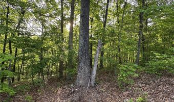 TBD CR 935, Alpena, AR 72611