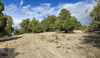 816 Hamilton Stage Rd, Elko, NV 89801