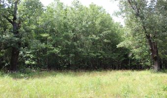 TBD CR 4670, De Kalb, TX 75559