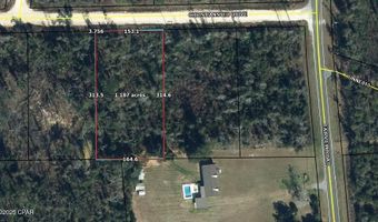 CHRISTIANSTED Drive, Alford, FL 32420
