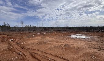 0 County Road 217 Lot 1, Blue Springs, MS 38828