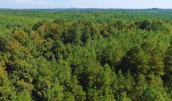 0 CR 320, Big Creek, MS 38914