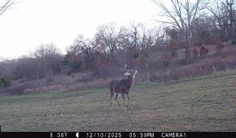 5565 State Hwy B, Appleton City, MO 64724
