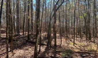 2369 Pine Ridge Dr, Appling, GA 30802