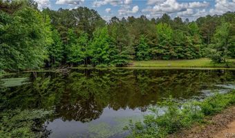 350 Hershell Henry Rd, Bankston, AL 35542