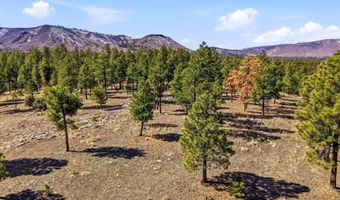 N2147, Alpine, AZ 85920
