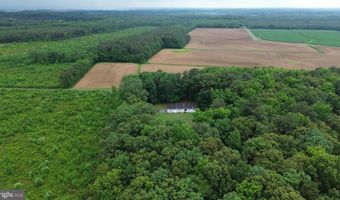 20029 LITTLE HILL Rd, Frankford, DE 19945