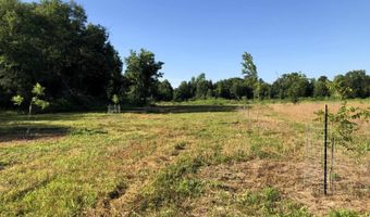 1071 LR 3, Ashdown, AR 71822