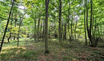 7581 Bully Hill Rd, Almond, NY 14804
