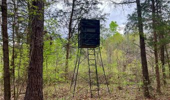 81 N Hwy, Calhoun Falls, SC 29628