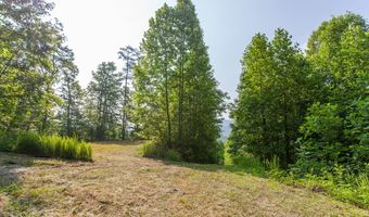 1200 Tobacco Branch Rd, Almond, NC 28702