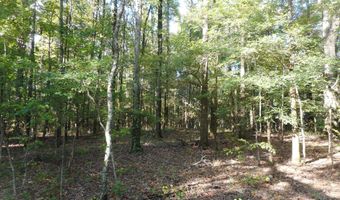 Anding Oil City Road, Bentonia, MS 39040