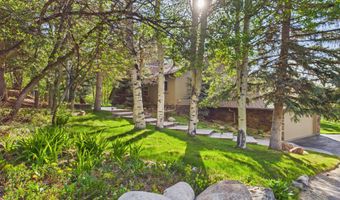 593 Meadowood Dr, Aspen, CO 81611