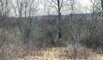 8302 Basswood Hill Rd, Alden, NY 14709