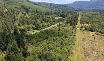 Lewis River Rd, Ariel, WA 98603