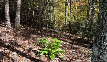 Lot 91 Buckeye Lane, Wilder, TN 38589