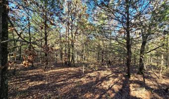 TBD Raw Land, Bates, AR 72958
