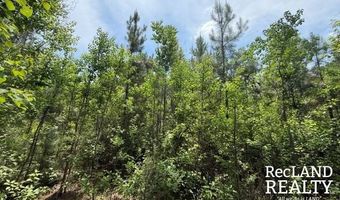 Cooper Lake Road, Bastrop, LA 71220
