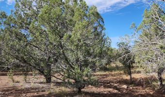 912 Westwood Rnch, Ash Fork, AZ 86320