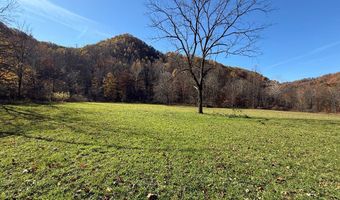 815 White Oak Rd, Artie, WV 25008