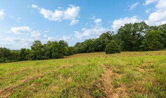 Rt 3 Box 240-4, Ava, MO 65608