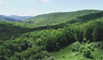 2636 Murphy Hill Rd, Andes, NY 13731