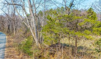 Puppy Creek, Amherst, VA 24521